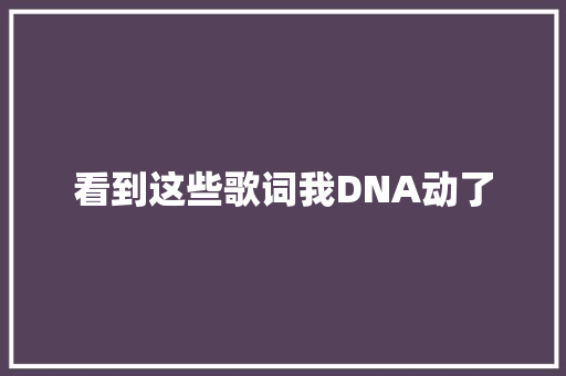 看到这些歌词我DNA动了