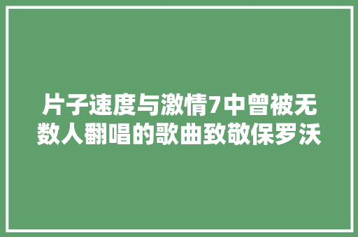 片子速度与激情7中曾被无数人翻唱的歌曲致敬保罗沃克