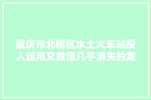 重庆市北碚区水土火车站投入运用又救活几乎消失的龙王乡