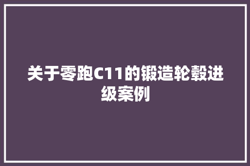 关于零跑C11的锻造轮毂进级案例