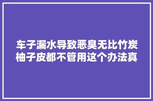 车子漏水导致恶臭无比竹炭柚子皮都不管用这个办法真能解决吗 汽车知识