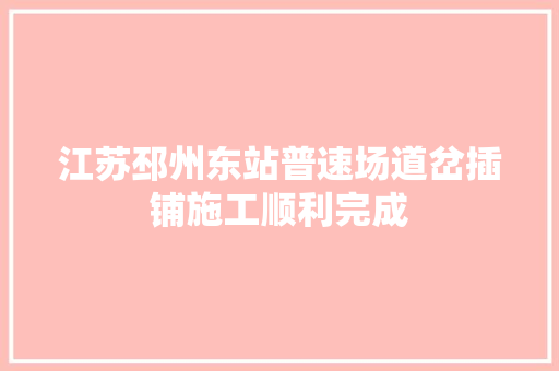 江苏邳州东站普速场道岔插铺施工顺利完成