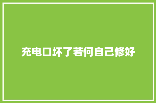 充电口坏了若何自己修好
