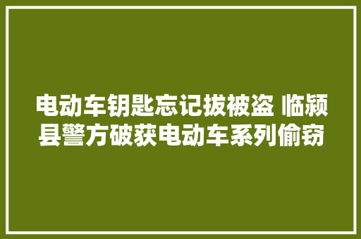 电动车钥匙忘记拔被盗 临颍县警方破获电动车系列偷窃案