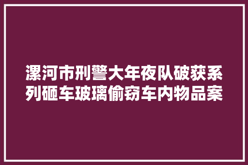 漯河市刑警大年夜队破获系列砸车玻璃偷窃车内物品案件