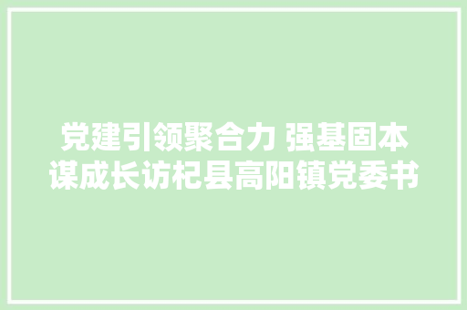 党建引领聚合力 强基固本谋成长访杞县高阳镇党委书记于兆利