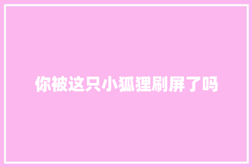 你被这只小狐狸刷屏了吗
