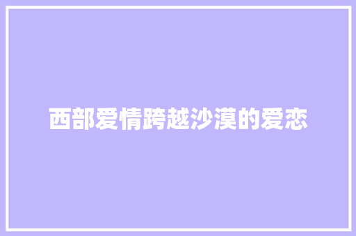 西部爱情跨越沙漠的爱恋