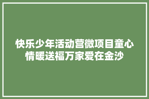 快乐少年活动营微项目童心情暖送福万家爱在金沙