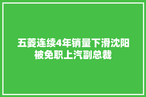 五菱连续4年销量下滑沈阳被免职上汽副总裁