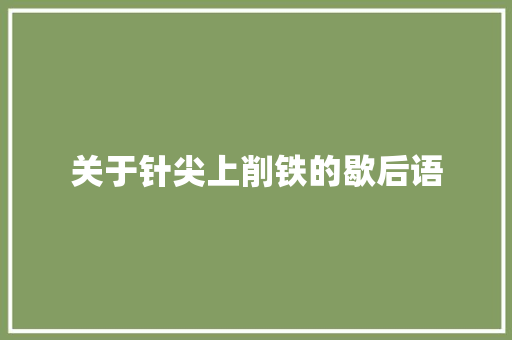关于针尖上削铁的歇后语