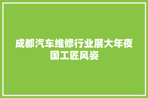 成都汽车维修行业展大年夜国工匠风姿