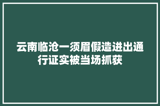 云南临沧一须眉假造进出通行证实被当场抓获