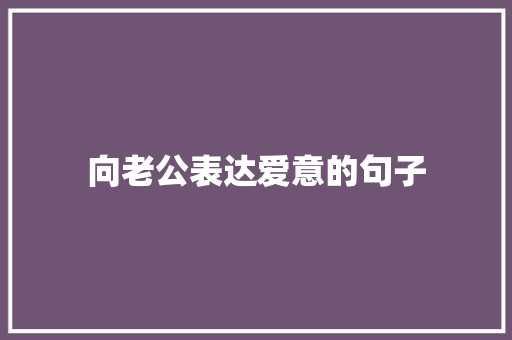 向老公表达爱意的句子