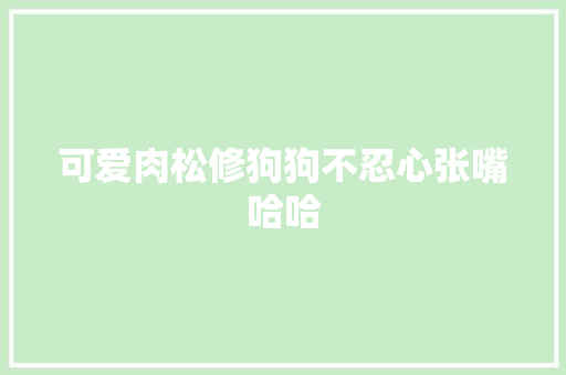可爱肉松修狗狗不忍心张嘴哈哈 汽车知识