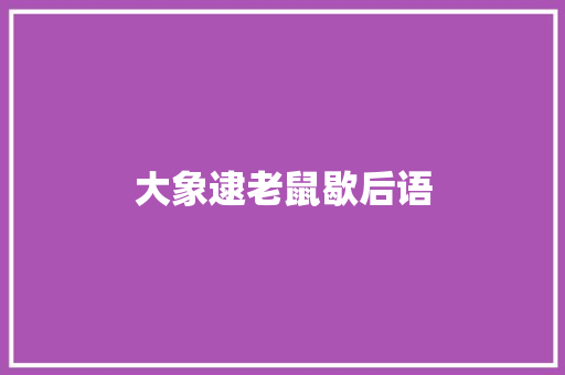 大象逮老鼠歇后语
