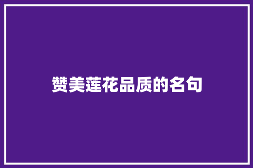 赞美莲花品质的名句