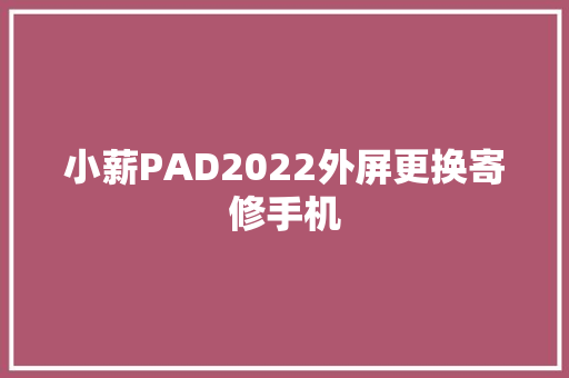 小薪PAD2022外屏更换寄修手机