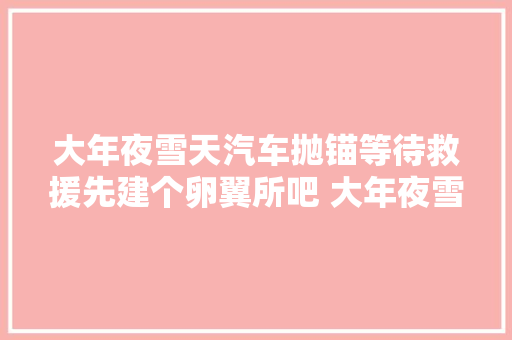 大年夜雪天汽车抛锚等待救援先建个卵翼所吧 大年夜雪