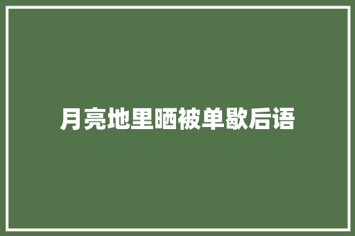 月亮地里晒被单歇后语