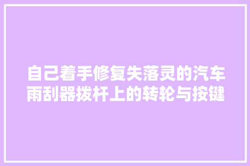 自己着手修复失落灵的汽车雨刮器拨杆上的转轮与按键
