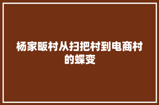 杨家畈村从扫把村到电商村的蝶变