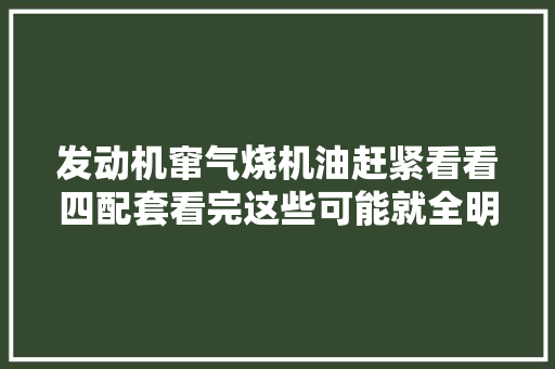发动机窜气烧机油赶紧看看四配套看完这些可能就全明白了