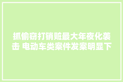 抓偷窃打销赃最大年夜化袭击 电动车类案件发案明显下降