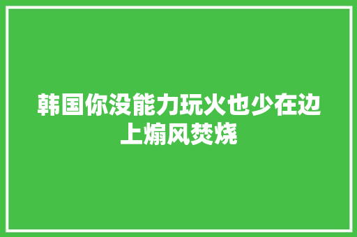 韩国你没能力玩火也少在边上煽风焚烧