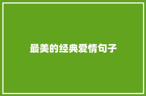 最美的经典爱情句子