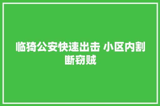 临猗公安快速出击 小区内割断窃贼