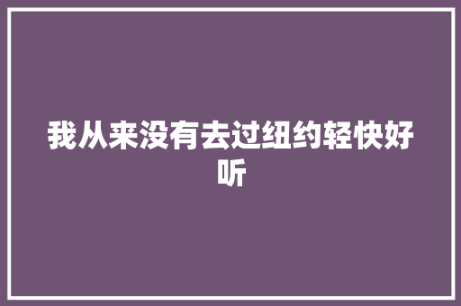 我从来没有去过纽约轻快好听