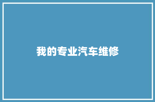 我的专业汽车维修