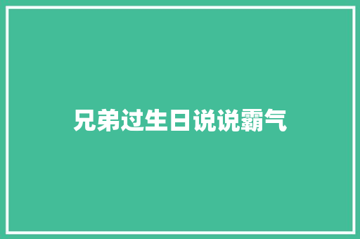 兄弟过生日说说霸气
