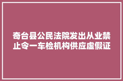 奇台县公民法院发出从业禁止令一车检机构供应虚假证实文件被判五年内不得重操旧业
