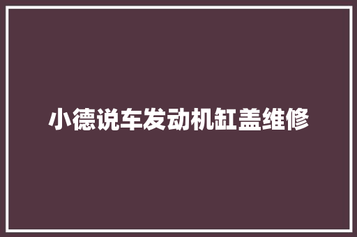 小德说车发动机缸盖维修
