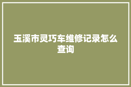 玉溪市灵巧车维修记录怎么查询