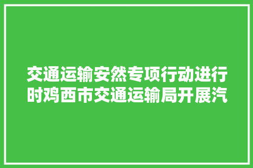 交通运输安然专项行动进行时鸡西市交通运输局开展汽修企业消防安然检查 掩护交通运输行业安然稳定