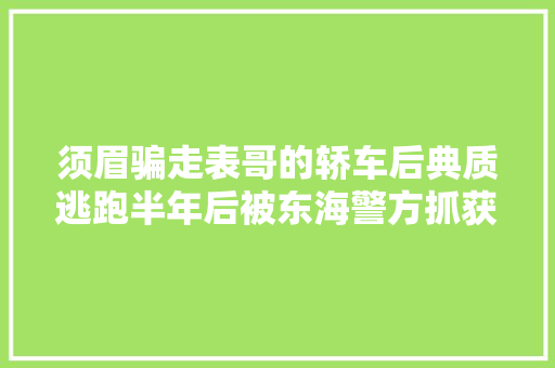 须眉骗走表哥的轿车后典质逃跑半年后被东海警方抓获 汽车知识