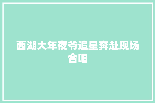 西湖大年夜爷追星奔赴现场合唱