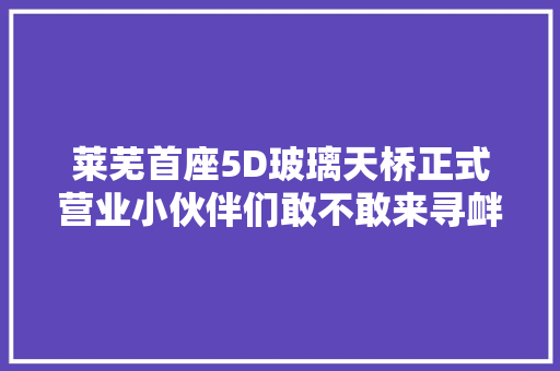 莱芜首座5D玻璃天桥正式营业小伙伴们敢不敢来寻衅