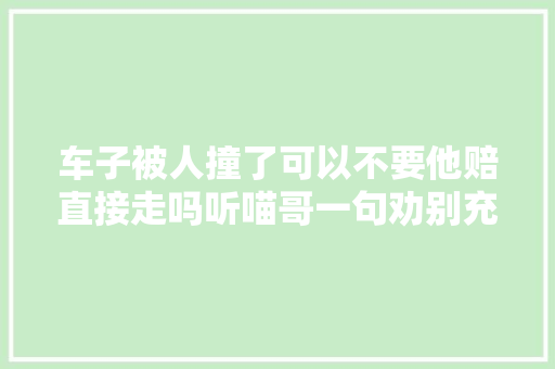 车子被人撞了可以不要他赔直接走吗听喵哥一句劝别充豪杰 汽车知识
