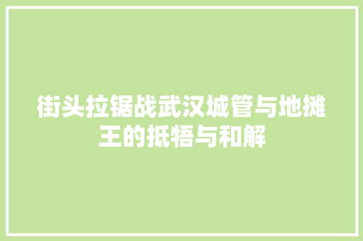 街头拉锯战武汉城管与地摊王的抵牾与和解