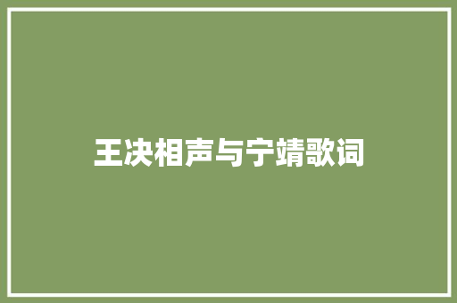 王决相声与宁靖歌词