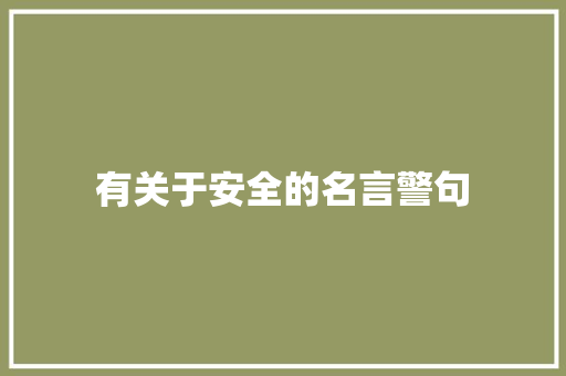 有关于安全的名言警句
