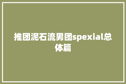 推团泥石流男团spexial总体篇