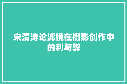 宋渭涛论滤镜在摄影创作中的利与弊