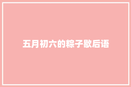 五月初六的粽子歇后语