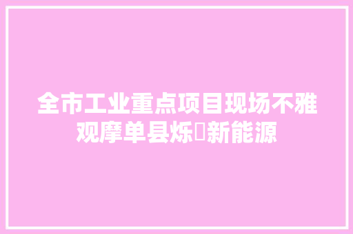 全市工业重点项目现场不雅观摩单县烁燊新能源