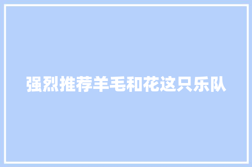 强烈推荐羊毛和花这只乐队